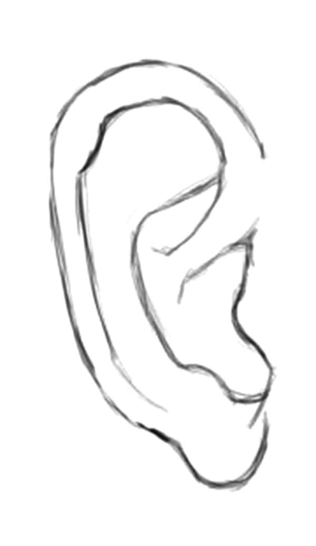 Женское ухо рисунок