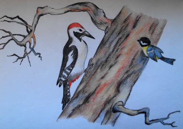 Рисование с помощью цифр