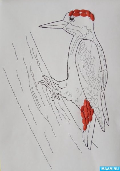 Как нарисовать дятла