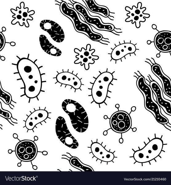 Бактерии карандашом