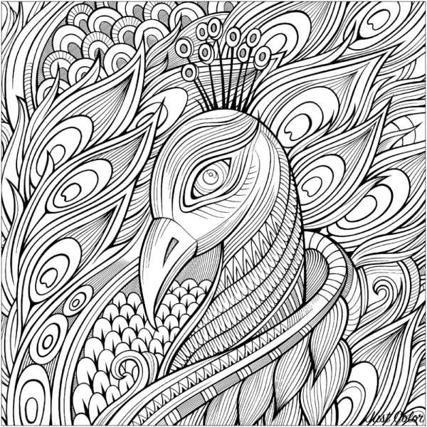 Раскраски антистресс птицы