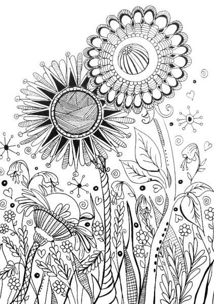 Раскраски сложные