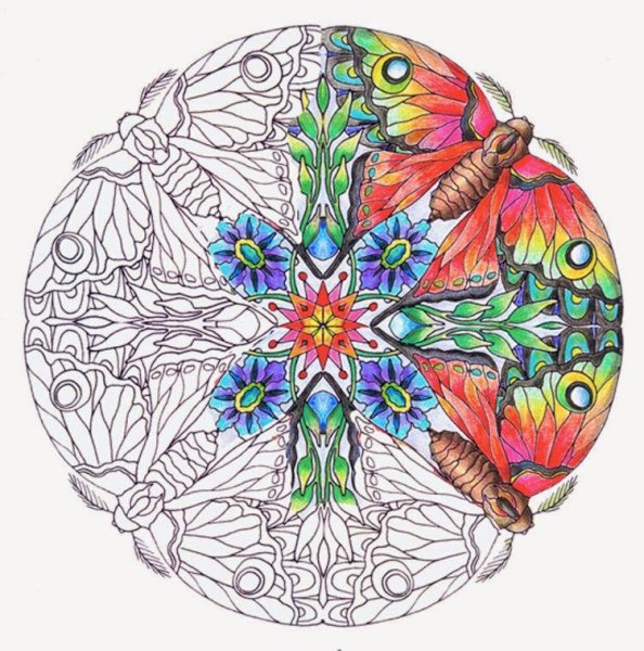 Раскраски антистресс дельфины