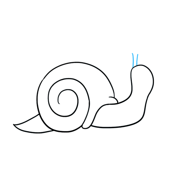 Улитка пошаговое рисование