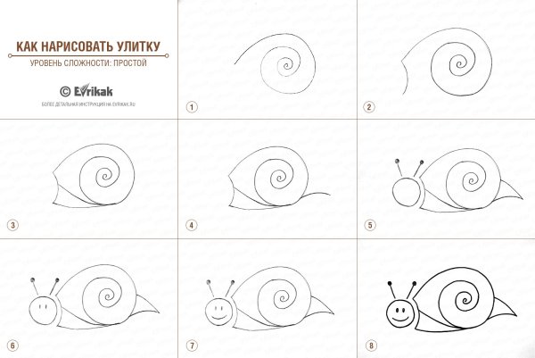 Лужанка улитка