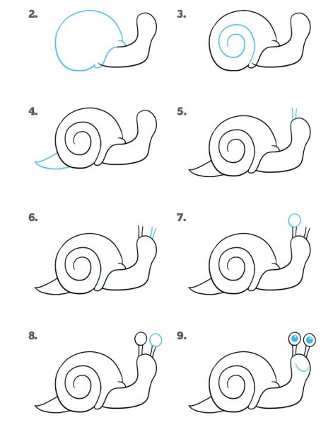 Улитка для срисовки