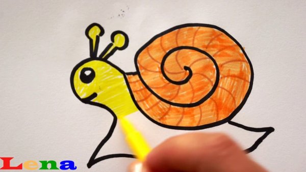 Карандашами - улитка