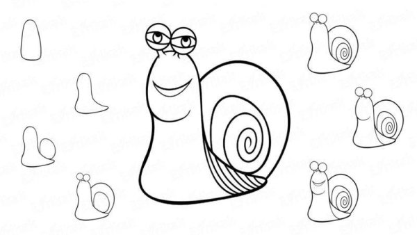 Улитка ахатина раскраска