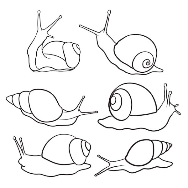 Клипарт улитка на прозрачном фоне для детей