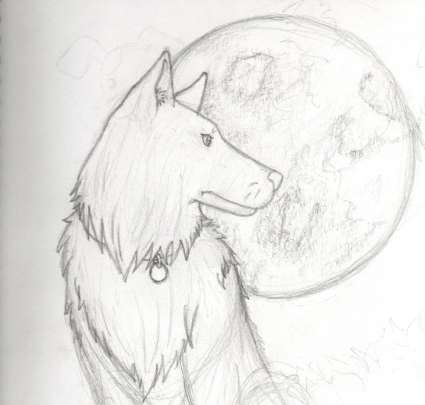 Анималистика рисунки лёгкие