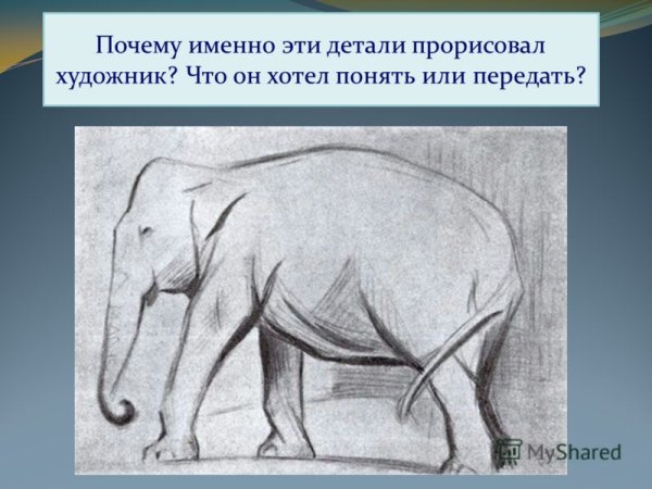 Ватагин слоны