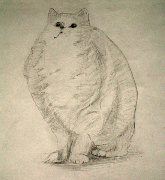 Анималистический Жанр рисунки легкие