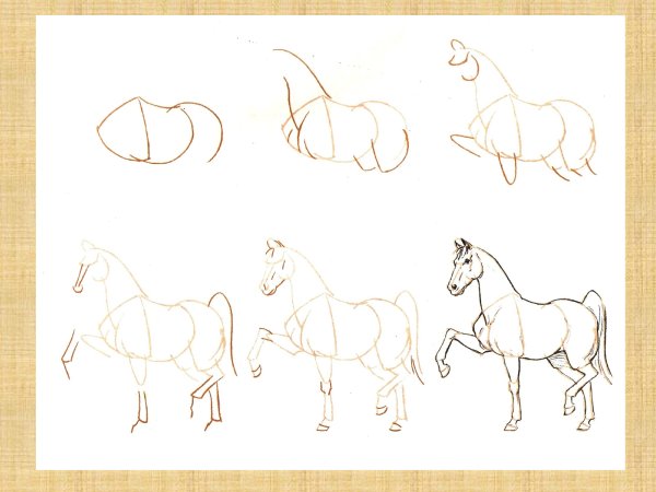 Анималистика рисунки лёгкие