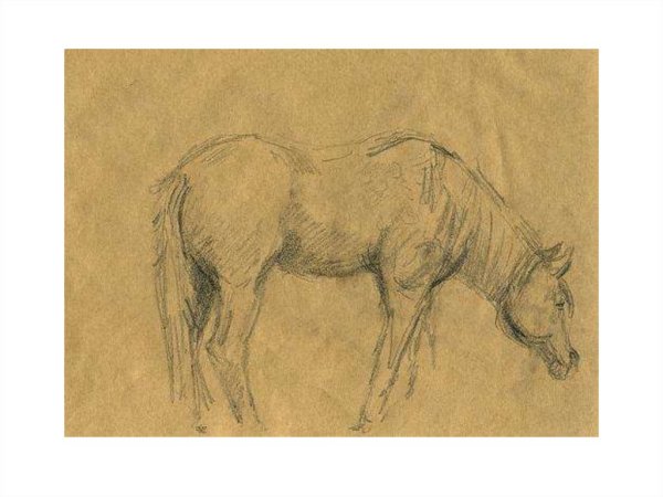 Леонардо да Винчи Наброски коня