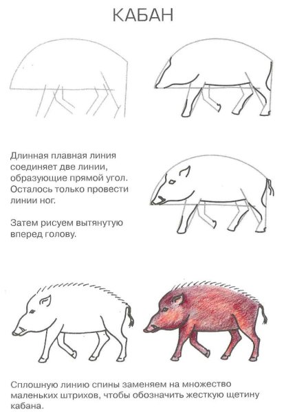 Нарисовать кабана