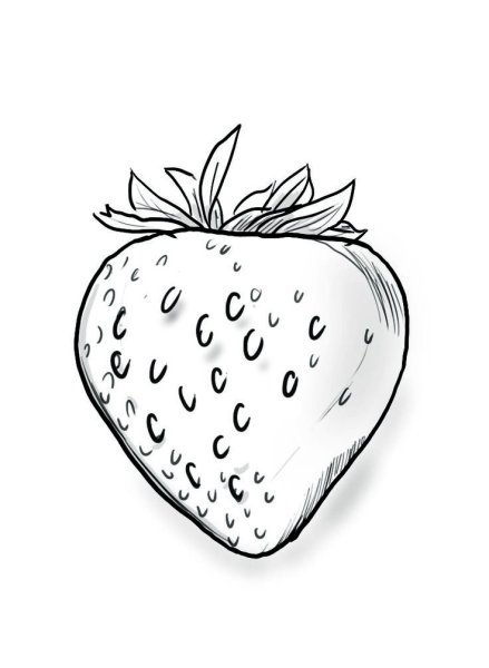 Малина и клубника раскраска