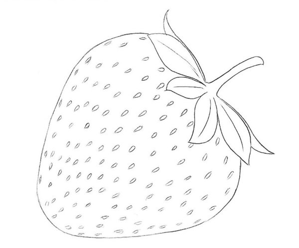 Клубника рисунок карандашом