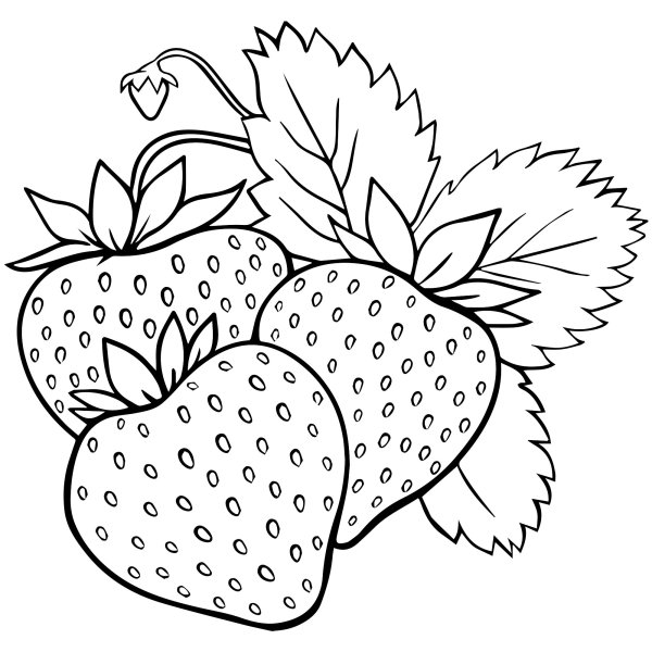 Клубника раскраска