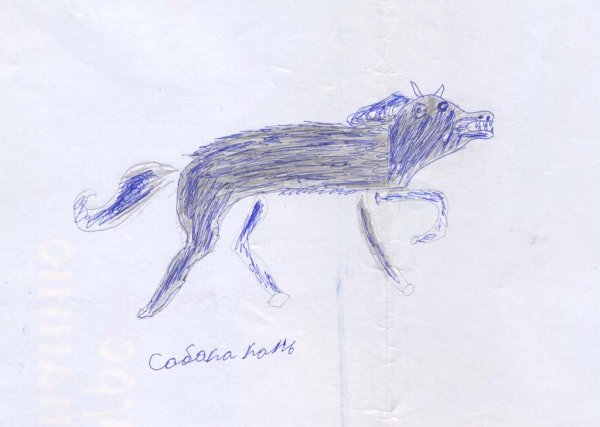 Невиданные животные рисунки