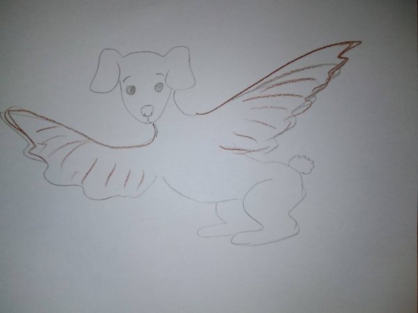 Нарисуй необычное животное