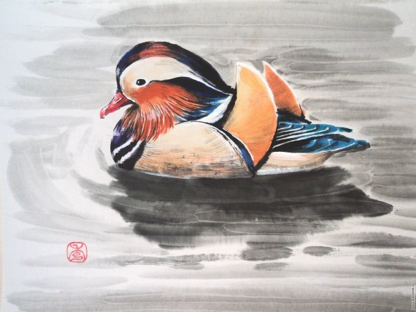 Утка Мандаринка черно белая