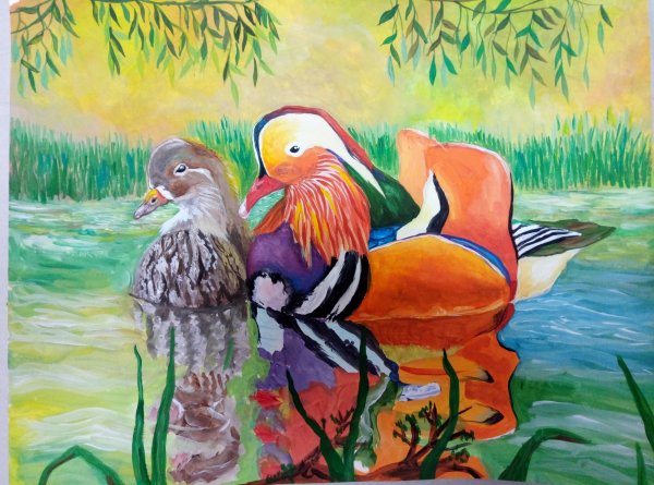 Нарисовать утку мандаринку