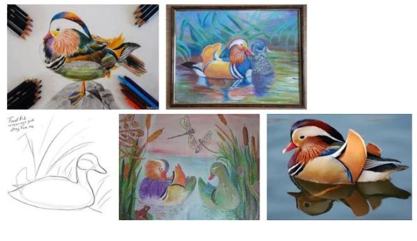 Утка Мандаринка рисунок красками