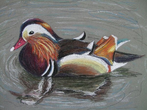 Точечная роспись утка Мандаринка