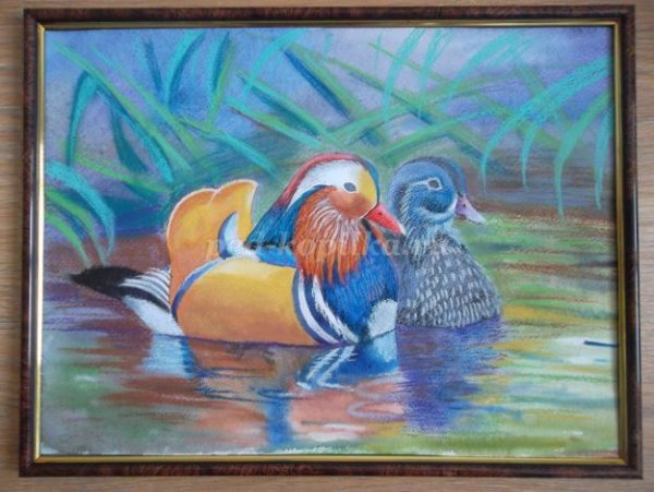 Утка Мандаринка пастель