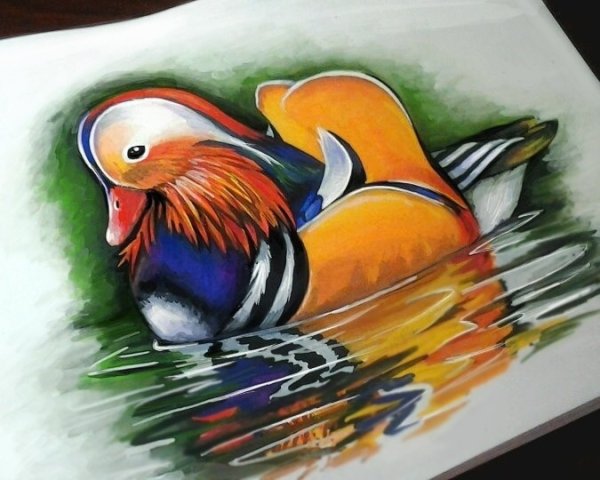 Утка Мандаринка акварелью