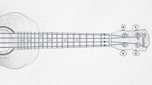 Гитара для срисовки