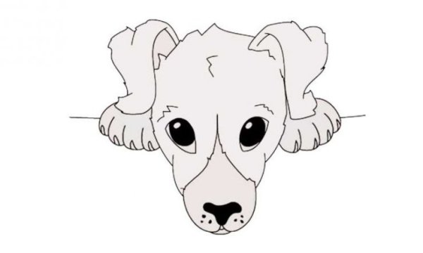 Мордочка собачки для рисования детям