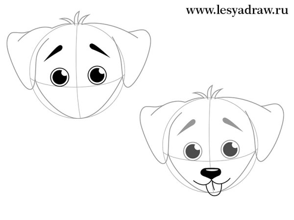 Маленькие мордочки собак