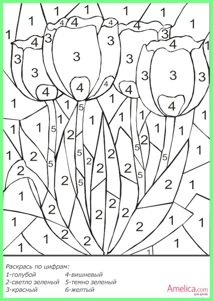 Раскраска по цифрам