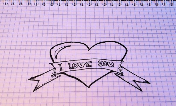 Орхидея поэтапное рисование