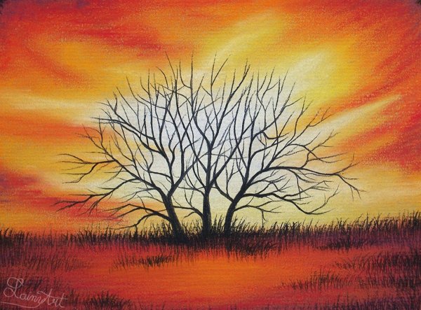 Рисунки природы