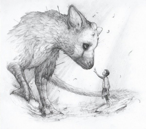 The last Guardian рисунки