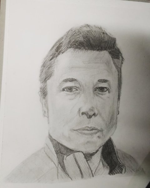 Илон Маск портрет карандашом