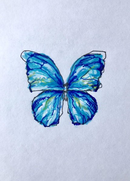 Бабочка рисунок для срисовки легкие