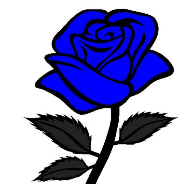 Нарисованные синие розы