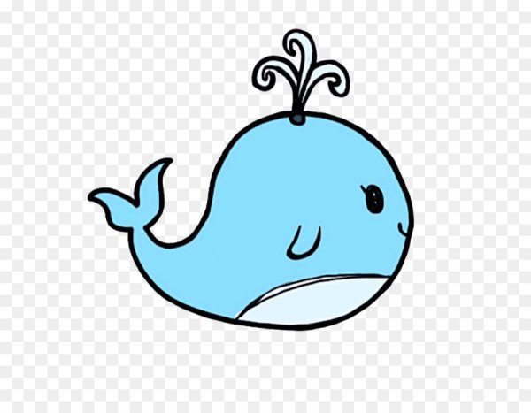 Рисунок кита для срисовки