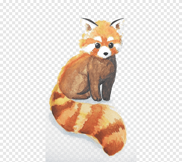 Красная Панда акварель