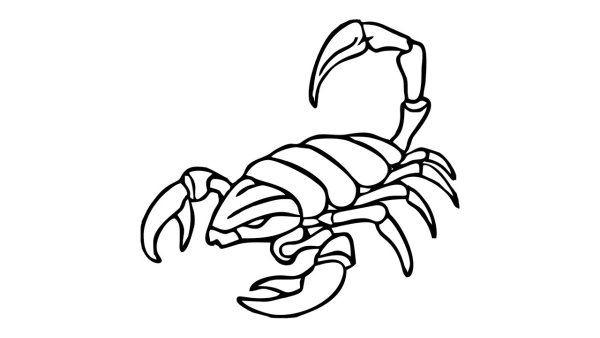 Скорпион раскраска