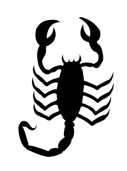 Скорпион рисунок