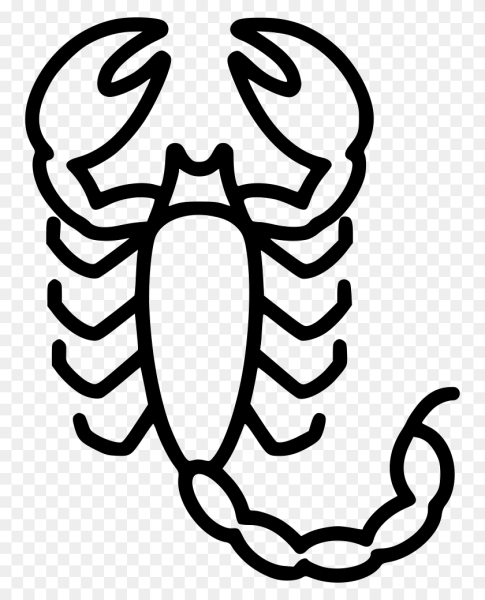 Скорпион рисунок