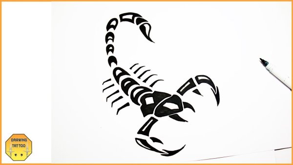 Лёгкие тату Скорпион