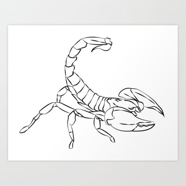 Скорпион ракурс сзади