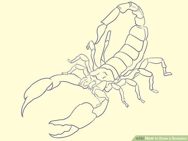 Нарисовать скорпиона