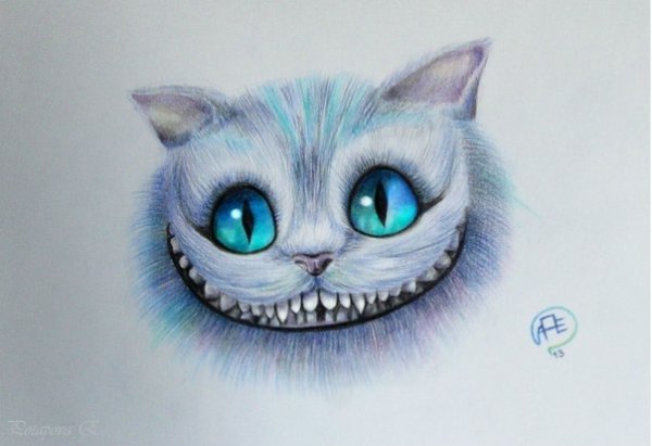 Рисунки котиков для срисовки