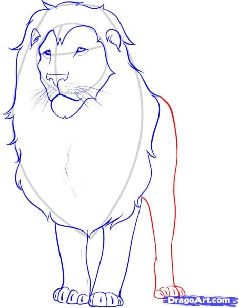 Как рисовать Льва